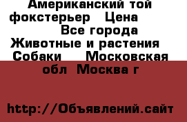 Американский той фокстерьер › Цена ­ 25 000 - Все города Животные и растения » Собаки   . Московская обл.,Москва г.